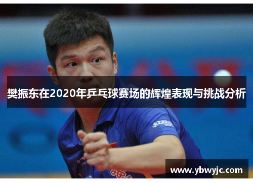 樊振东在2020年乒乓球赛场的辉煌表现与挑战分析